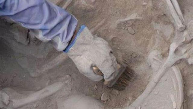 La arqueología y la paleontología se citan en Oñati. / N.G. La arqueología y la paleontología se citan en Oñati.